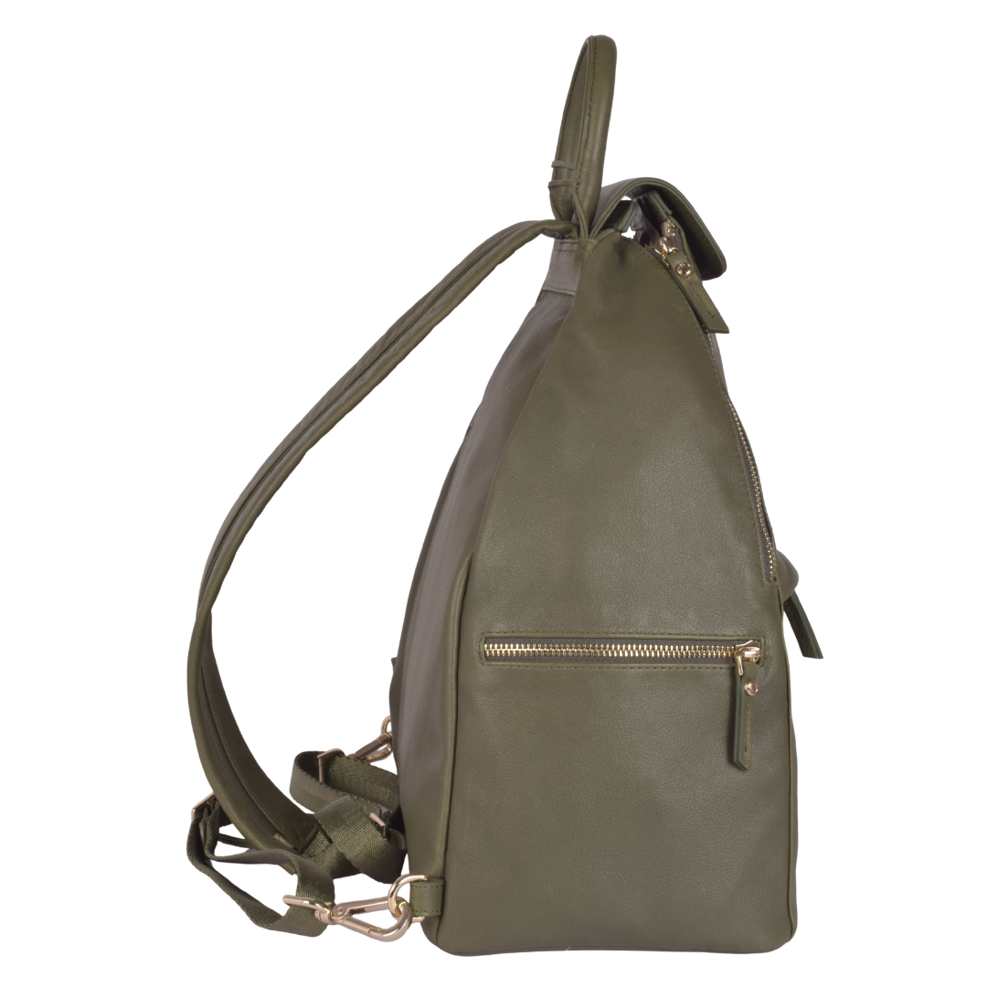 #color_Olive with Gold